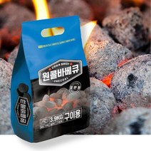 캠핑 코코넛야자숯 야자탄 3.9kg 연료 구이용 오래타는 캠핑용품 야자수, 원콜일반형2k 1P