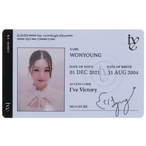 블랙핑크포카 1 개/대 KPOP IVE ID 카드 Lomo 앨범 LIZ 걸스 그룹 일레븐 팬 컬렉션 선물 엽서 사진, [01] OSS26122KP1