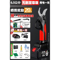 충전식 전동 전지 가위 정원 나무 가지치기 고지 꽃 조경 감따는기구 무선 다목적 자동, 6.5cm ~ 2999wmAH 2전기