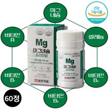 마그네숨 마그슘 마그네시움 약국 마그네슘 비타민B1 비타민 B2 B12 A 영양제, 마그네슘 60정 x1통