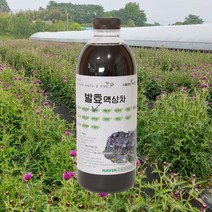 자연미가 엉겅퀴 효소액 1000mlx1병 /ss 자연숙성 발효액100%, 1000ml, 1개