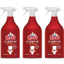 [후후맘] 홈스타 뿌리는 곰팡이 싹 900mL, 3개