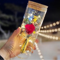 [바르미] 특별한 프리저브드 장미 LED 유리병 꽃 편지지 기념일 선물 세트, 레드