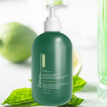 디어쿠페아 바질 앤 시트러스 약산성 샴푸 트리트먼트 바디워시 단백질 자연유래성분 향기좋은 대용량 1000ml, 바질샴푸