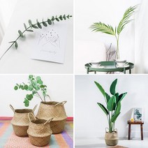 [에타홈] 우리집 감성 플랜테리어 조화 장식 인테리어, 17) 조화 그리너리 바나나 나무 화분 소형