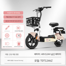 여성 전기자전거 접이식 라이딩 배달용 미니벨로 바이시클 베터리 카, 12아, A
