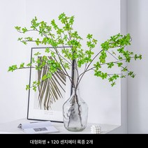 마취목 화병 배꼽 투명 유리 화병 목걸이 종진녹식 나뭇가지 거실 인테리어 식물 공장, ￥大号￥+瓶2支 라지병+120CM 울트라 모조 링거 2