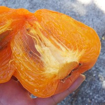 광양 햇 대봉감 찰대봉, 대5kg(17과내외)
