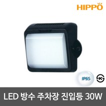 히포 LED방수등 방습등 외부벽등 욕실등 주차장등 모음, 17_LED주차장진입등 30W 블랙 주광색