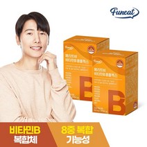 퍼니트 메리트비 비타민B 컴플렉스 활력비타민 2박스 (4개월분), 2개