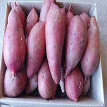 해남 황토 꿀 밤고구마 베니하루카 3kg5kg10kg, 1박스, 꿀밤고구마5kg (왕품) 300g이상