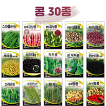 콩 씨앗 완두콩 종자 강낭콩 호랑이콩 곡류 곡물 옥수수 채소 씨 농사마트, 17. 히카마 10g