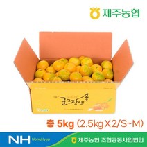 [제주농협] 귤로장생 하우스 감귤 5kg (과당 63g~106g/S~M 혼합), 단품