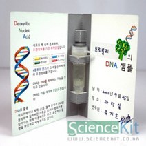 DNA추출1 식물세포(4인용) 초등학교 학습 교구 과학 실험 키트 재료, 본상품
