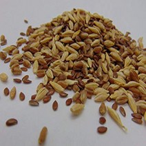 8 oz Sprouting PET Mix - A Tasteful Mix of Wheatgrass Flax and Barley Seeds. Seeds for Growing Micr, 1