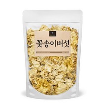 퓨어영 눈꽃송이버섯 100g 국내산, 1봉
