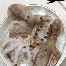 국산 서해안 산지직송 생물 활 쭈꾸미 알쭈꾸미 1kg 냉동 주꾸미 1kg, 3. 생물 쭈꾸미 3kg, 1개