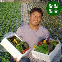 양주농부 모듬채소 20종 클로렐라 쌈채소 유러피안 샐러드 야채 800g-1.2kg, 1박스, 클로렐라쌈채소 800g