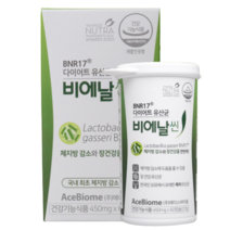 [ 김희선 다이어트 ] 락토바실러스 가세리 BNR 17 비에날 씬 ( 60캡슐 1개월 ) 체지방 감소 모유 유래 유례 유산균 캡슐 분말 가루 비애날 비엔알 비앤알 신 가새리, 60캡슐 x 1박스 (1개월분)