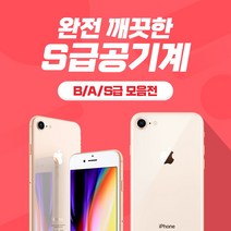 애플 아이폰8 공기계, B급 실버, 아이폰8 64기가
