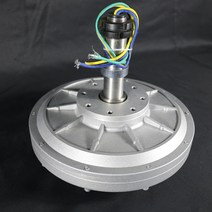 발전기대여 중고발전기 아파트태양광설치 30W-100W 200 300 500RPM 12V 24VDC 영구 자석 교류 발전기 수직, 02 24V_03 30W 200RPM