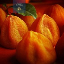 곶감 특급 설 명절 선물 상주 영화청과 건시 500g