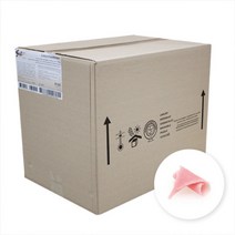 선인 블로섬딸기12kg, 1box, 12kg