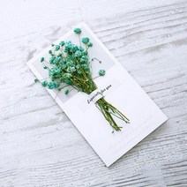 생일축하카드 팝업카드 메세지 세트선물 카드 결혼식 초대장 인사말 카드, 02 Gypsophila Lake Blue