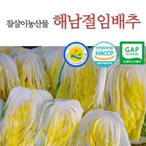 전남도지사인증 해남절임배추 20kg 예약주문 [HACCP GAP], 도착일자:11월24일(목) 도착예정