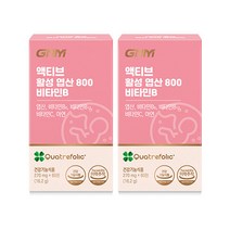 [1박스당 2개월분] GNM 액티브 활성 엽산 800 비타민B / 아연 비타민C 임산부, 2박스, 270mg, 60정
