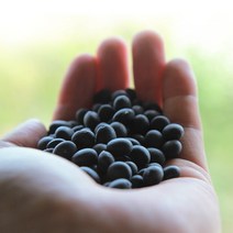 소화농장 2022년 햇잡곡 1kg 서리태 율무 찰수수 팥 강낭콩, 율무1kg