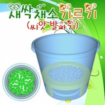 새싹 채소기르기 씨앗발아기 5인용