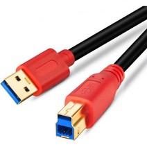 Tan QY USB 3.0 케이블 A-B 수컷 10피트 TanQY 타입 하드 디스크 드라이브 호환 프린터 스캐너USB 허브 모니터 등(3M/10피트), 3M/10Ft