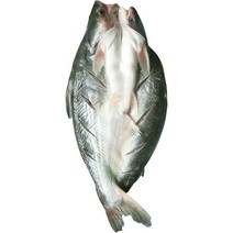 반제품 버들치 도매용 풀박스 통마리 무접점 등을 돌리는 물고기 대발 전선형, 1개, T05-1g 능성어 메콩고기-3 조목조목