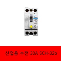 서울산전 산업용 누전차단기 SCH-32b 15A 20A 30A