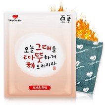 해피데이 핫팩 오늘 그대를 따뜻하게 해드리리라 포켓형 핫팩 100g 50매 국산