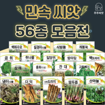 민속채소 씨앗 약초종자 도라지 더덕 냉이 잔대 고들빼기 땅두릅 산마늘 곤드레 취나물 씨앗, 29. 밀크씨슬 2g