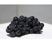 당도선별 캠벨포도 2kg 3kg (대부도 송산 랜덤 발송) 에어캡포장, 가정용 2kg (2~8송이), 1개