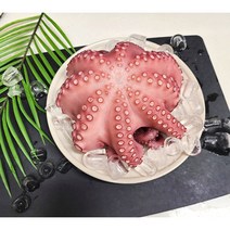 손질 자숙문어 900~1kg 돌문어 진공 제수용 문어 1미