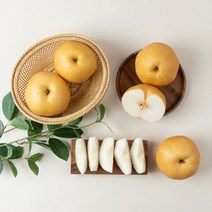 달찐과일 고당도 나주배 가정용/특품 3/5/15kg 11브릭스 이상 선별발송, 나주배 가정용 4.5kg (7-11과)