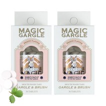 쓰리세컨즈 씹는 고체 매직가글 피치향, 30.71g, 2개