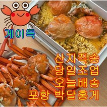 [산지직송] 국내산 포항 제철 게이득 박달홍게 3kg (10-12미) 수율80% 최상품