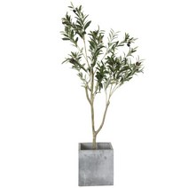 엔카이셔스 생화같은 조화나무, 21.2.1미터차이니즈툰트리+짠바구니