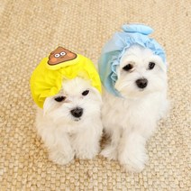 강아지 헤어밴드 방수 물놀이 머리띠 고양이, L, 해또(민트)