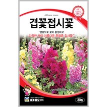 겹꽃접시꽃 30립 꽃씨 겹접시 꽃씨몰 꽃씨앗 봄 여름 가을 야생화 세계종묘 농사마트