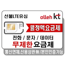 [kt데이터100] 탑유심 한국 선불 유심 LGU+ SK KT 전화 문자 데이터 무제한 칩, 선불 정액 요금제 SK 선불데이터 100G, 30일
