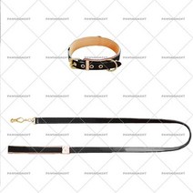 강아지 훈련 산책 목줄 디자이너 사용자 정의 칼라 가죽 끈 세트 요크셔스 치와와, 없음, Collar Leash Set+XS1626cm