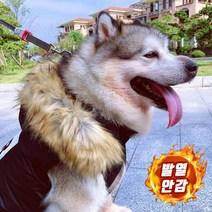 마켓무디 강아지 겨울용 보온후드패딩 S~6XL 소형견 중형견 대형견 초대형견 맞춤 사이즈 애견의류 패딩조끼 겨울 옷 도베르만 푸들 허스키 포메라니안 리트리버, 5XL