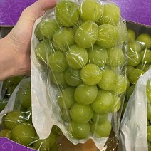 [특등급]고당도 샤인머스켓 씨없는 포도 망고포도 추석선물세트, 선물용 특품4kg(4~5송이), 1개