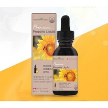 팜그린 프리미엄 프로폴리스 구내염 항산화 항균 면역력증진, 4개, 30ml